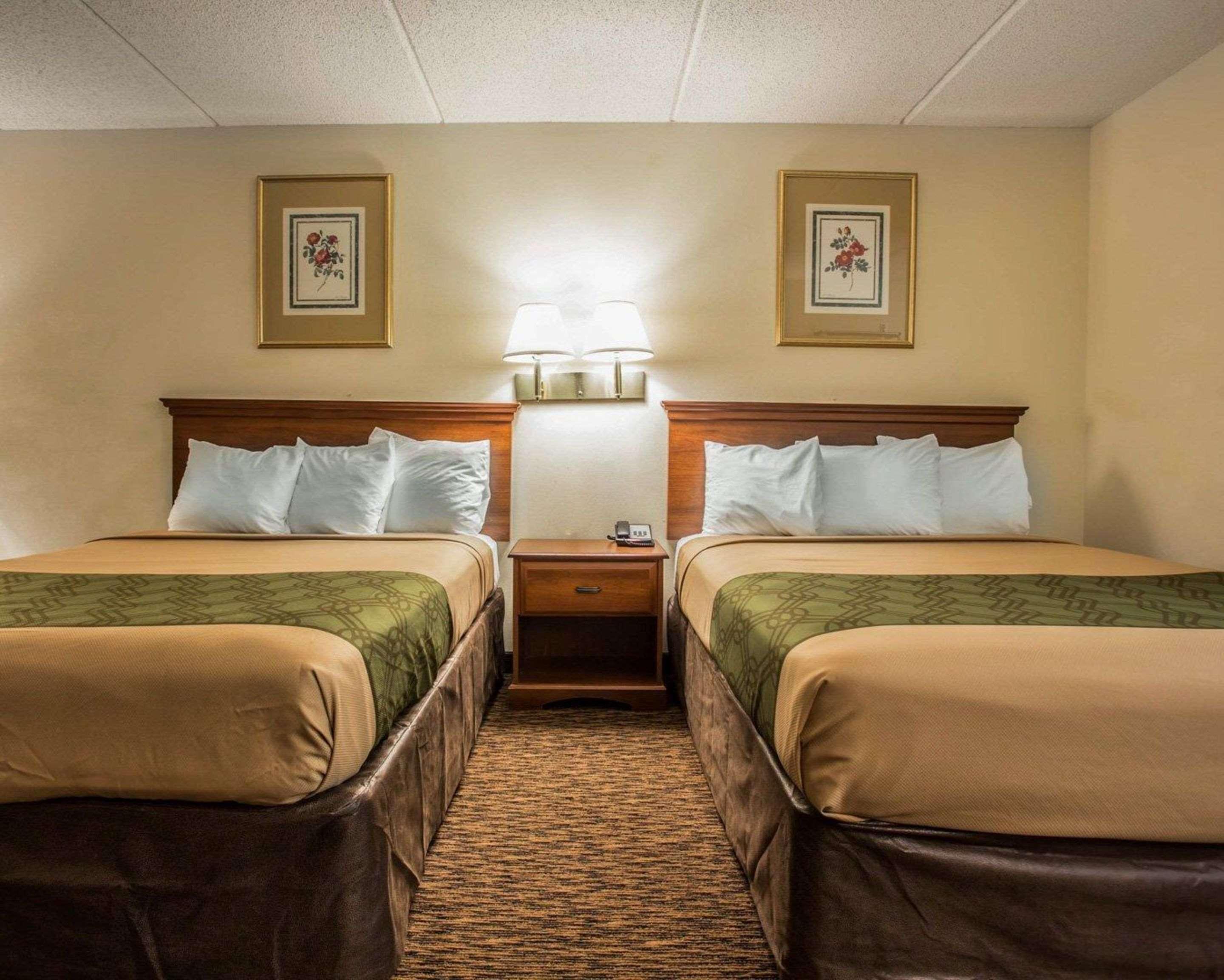 Lugoff Econo Lodge Inn & Suites מראה חיצוני תמונה