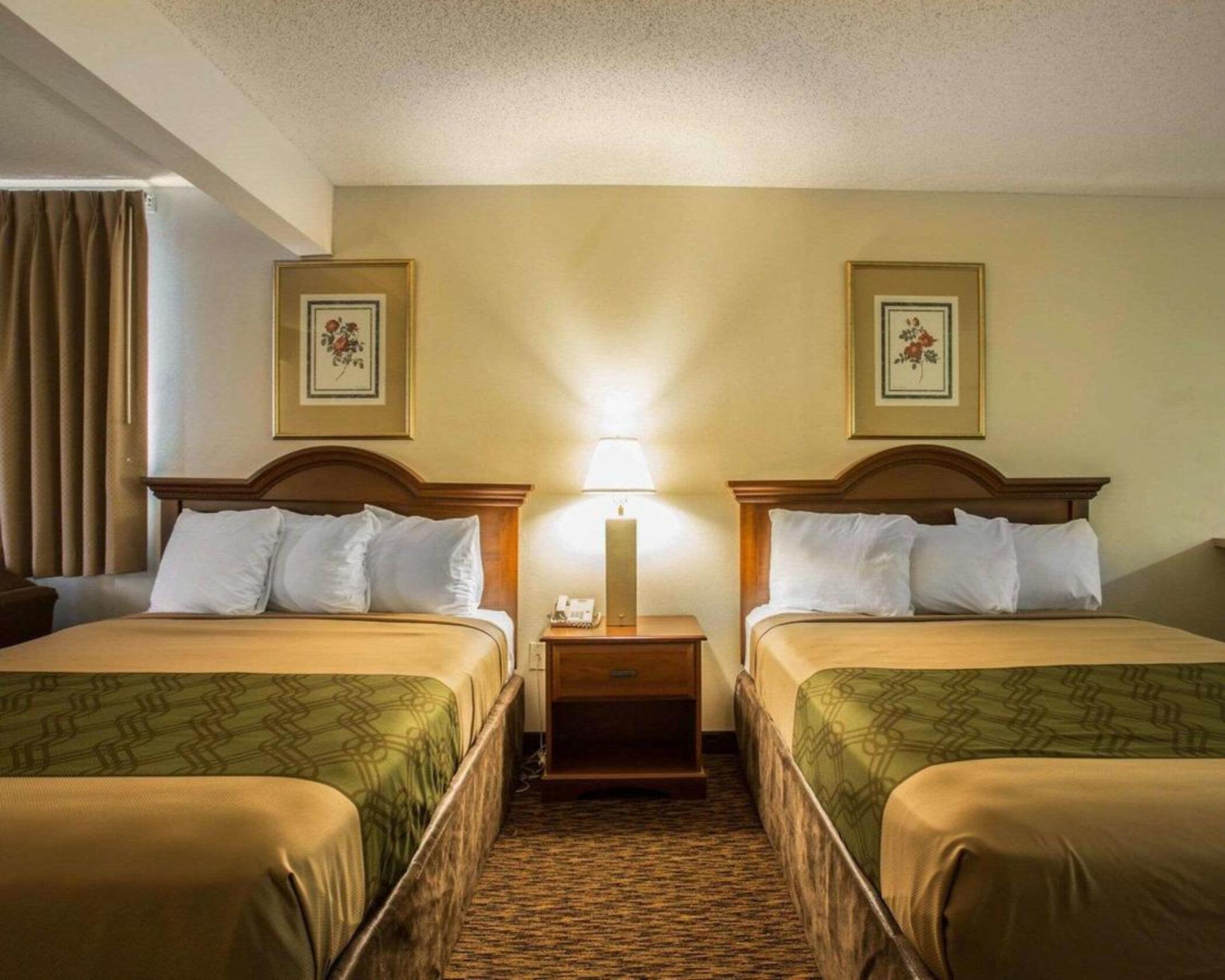 Lugoff Econo Lodge Inn & Suites מראה חיצוני תמונה